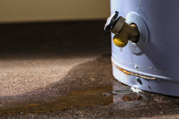 Best Flooded house restoration  in Forest Hills, TN